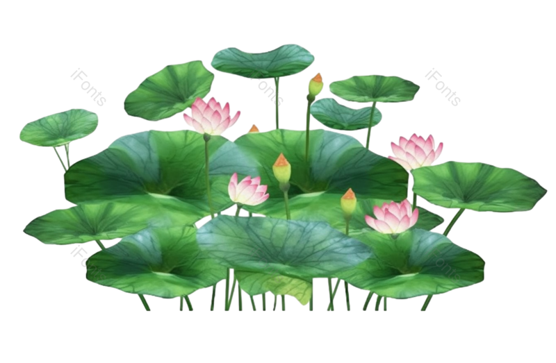 元素图片,清新元素,荷花PNG,夏天免抠素材